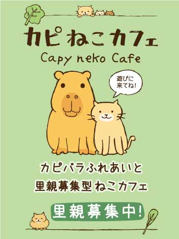 カピねこカフェ吉祥寺 Capybara And Cat Cafe カピバラカフェ ネコカフェ