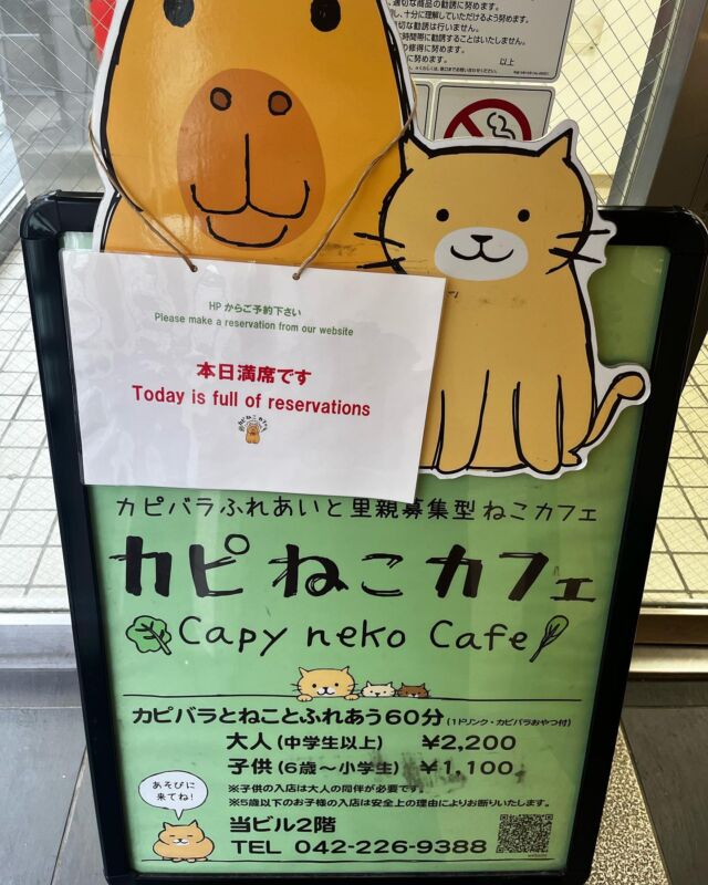 当店は要予約制です🌸
コロナも落ち着き、春休みになって毎日混み合っています
ご来店前にHPから予約いただくようお願いいたします🙇‍♀️(メールでは予約を受付していません)
⁡
Our shop requires a reservation 🌸
 Corona has calmed down, it's spring break and it's crowded every day
 Please make a reservation from the website before visiting🙇‍♀️ (We do not accept reservations by email)
⁡
⁡
#cat#tokyo#kitijoji#capybara
#animalcafe #catsofinstagram 
#catcafe#capibara #rescuedcat
#카피바라#水豚君 #水豚 #カピバラ
#カピねこカフェ#猫#ネコ#子猫#里親募集中#里親募集
#ねこすたぐらむ #猫カフェ #動物カフェ
#ねこ好きさんと繋がりたい
#カピバラ好きな人と繋がりたい 
#ふれあい動物園 #カピバラさん #カピバラカフェ
#保護猫  #吉祥寺 #東京観光スポット